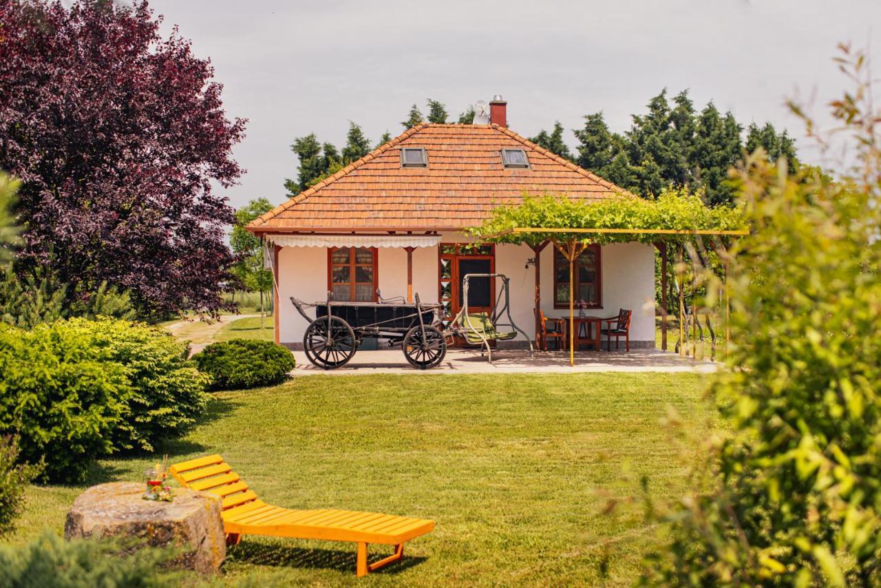 Angelika Vendeghaz Apartment Dinnyes Bagian luar foto