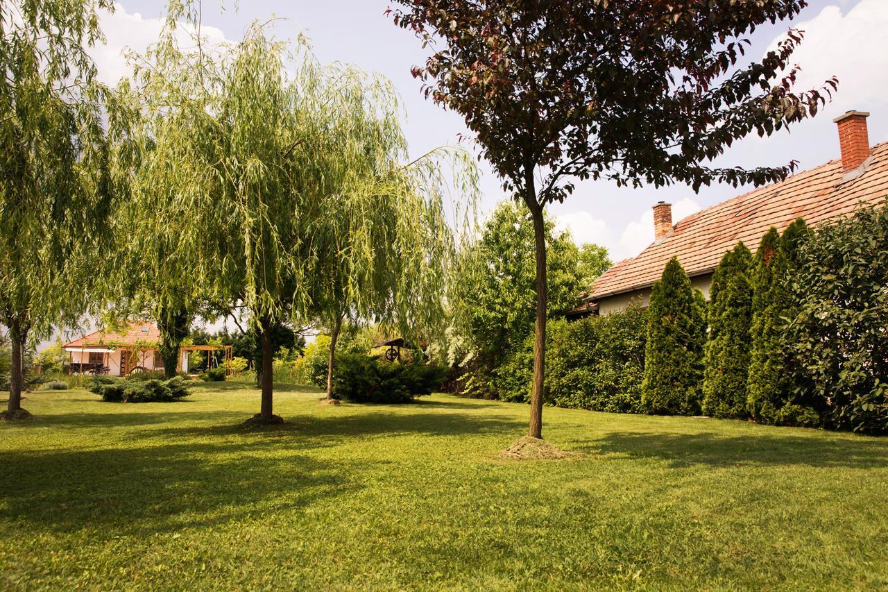 Angelika Vendeghaz Apartment Dinnyes Bagian luar foto